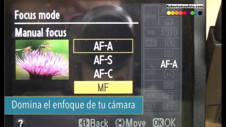 ¿Qué es AF S y AF C en fotografía?
